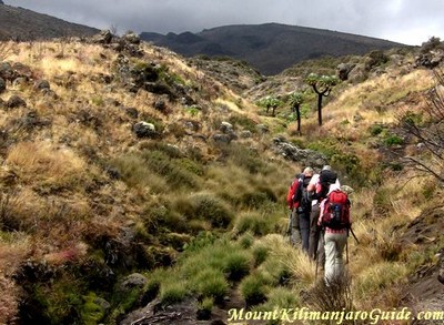 Trekking