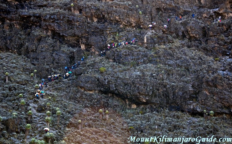 Climbing the Barranco Wall on the Machame Route