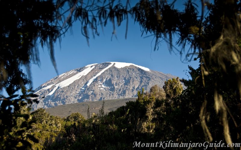 Clear view of Kilimanjaro