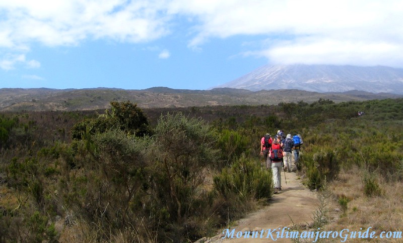 Walking on Kilimanjaro on day 2