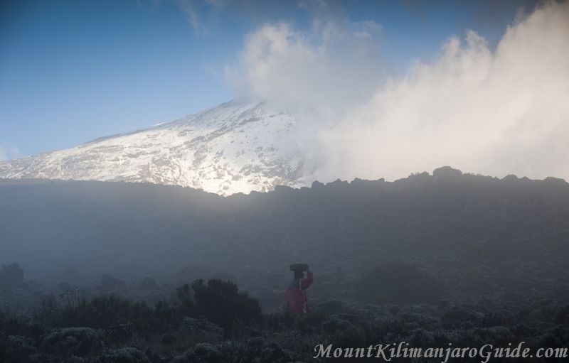 Misty morning on Kilimanjaro