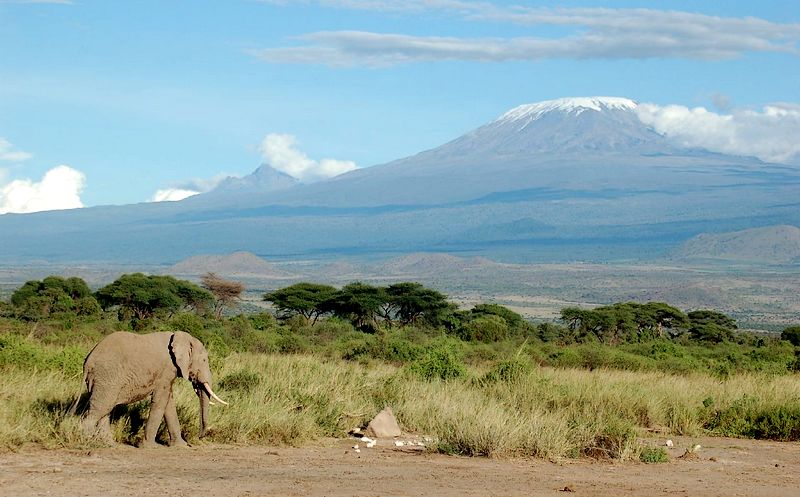 Classic Kilimanjaro picture
