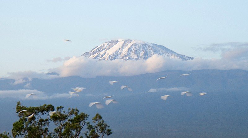 Kilimanjaro floating above the clouds