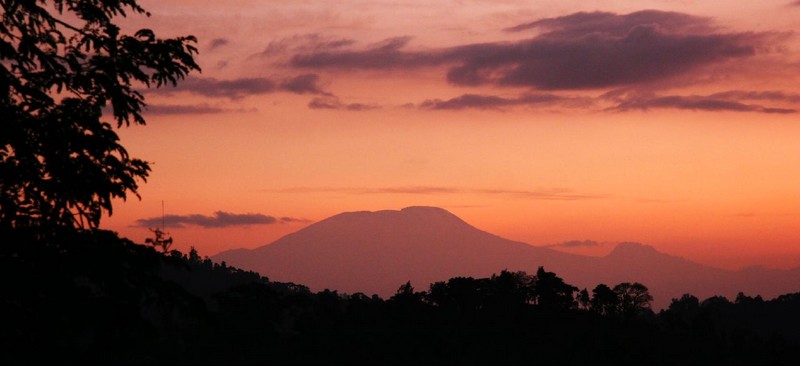 Kilimanjaro at dawn