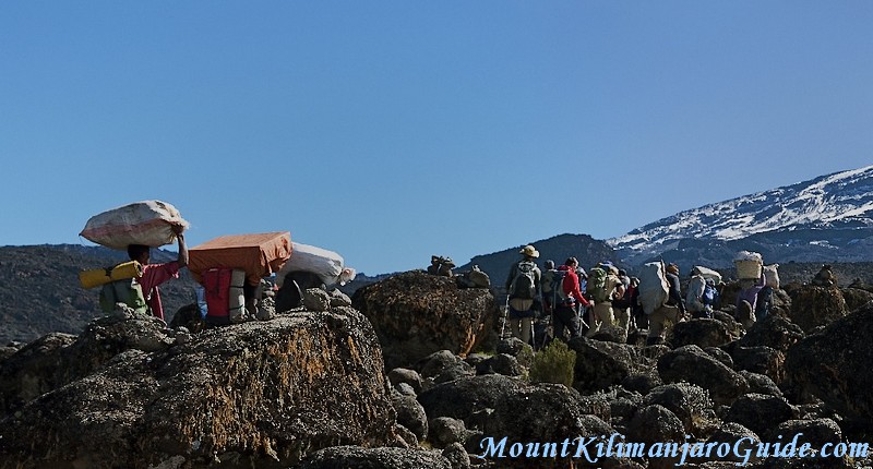 Kilimanjaro porters