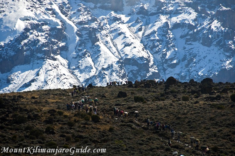 Climbers and Porters on the Machame Route