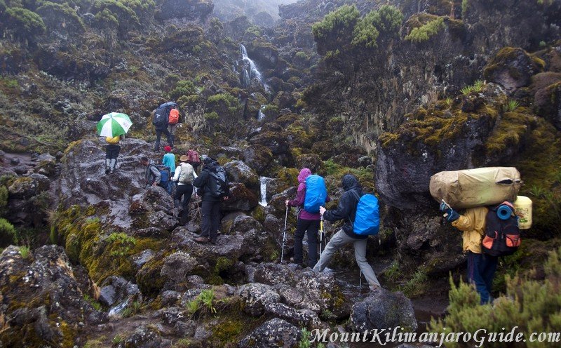 Second day on Machame Route, still rainy