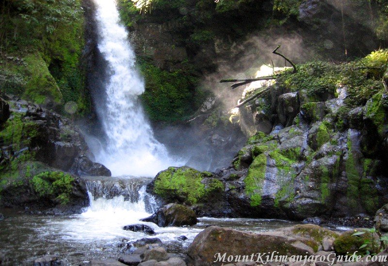 Mount Kilimanjaro Picture, Kilasiya Falls