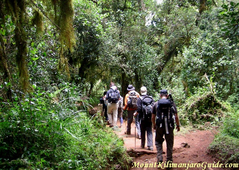 Day 1 on the Marangu Route, Kilimanjaro