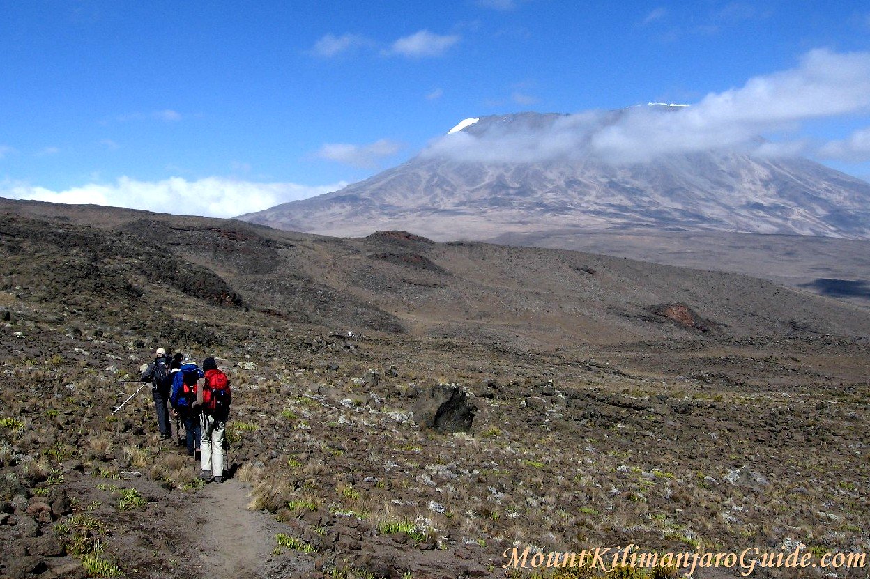 Trekking up Mt. Kilimanjaro
